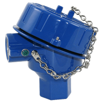 Resistance Temperature Detectors (RTD)